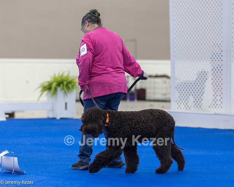 R10 - BALLYHOO'S V FINNEGAN MCNEILL BN FDC CA BCAT DS DJ CGCA TKN VHMA