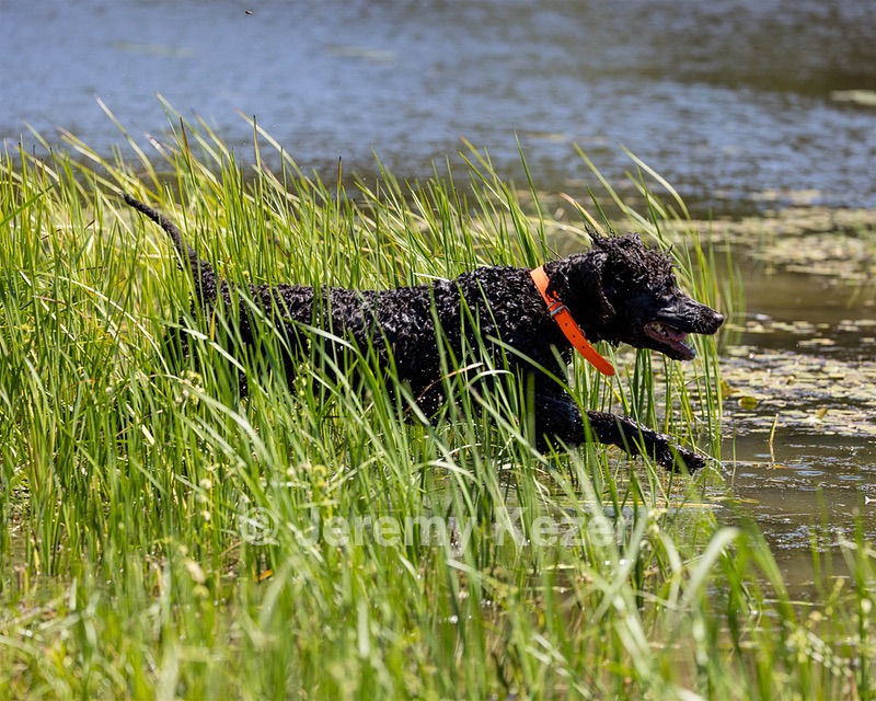 Ghillie Kezer