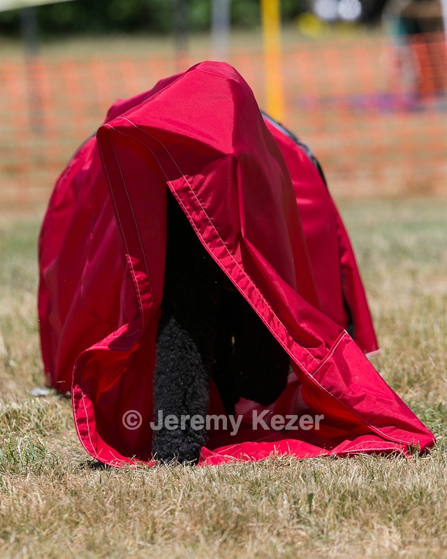 20150613-CCKC-0255.jpg