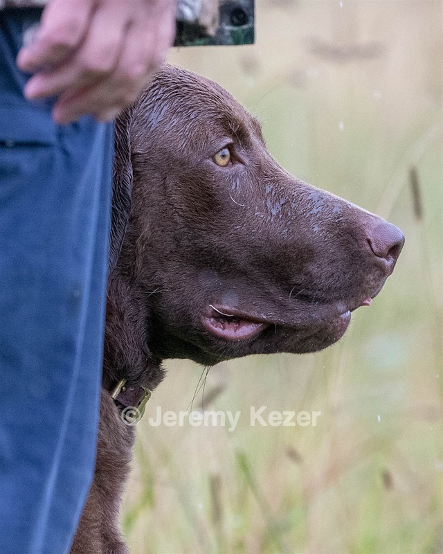 Grit Turcotte