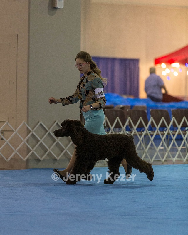 10 - Poole's Ide Touch Of Mink (Darla)