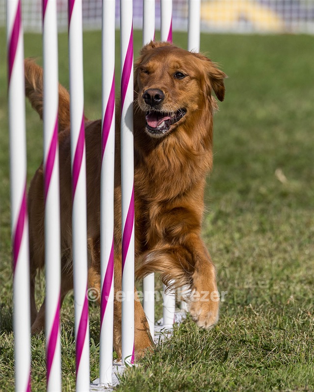 20230916-PVKC-1433.jpg