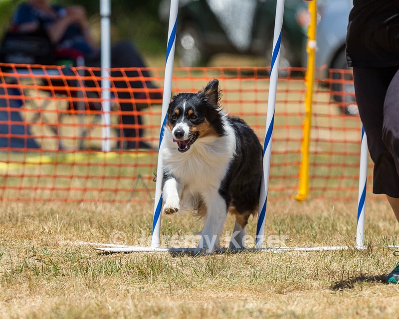 20160619-CCKC-1016.jpg