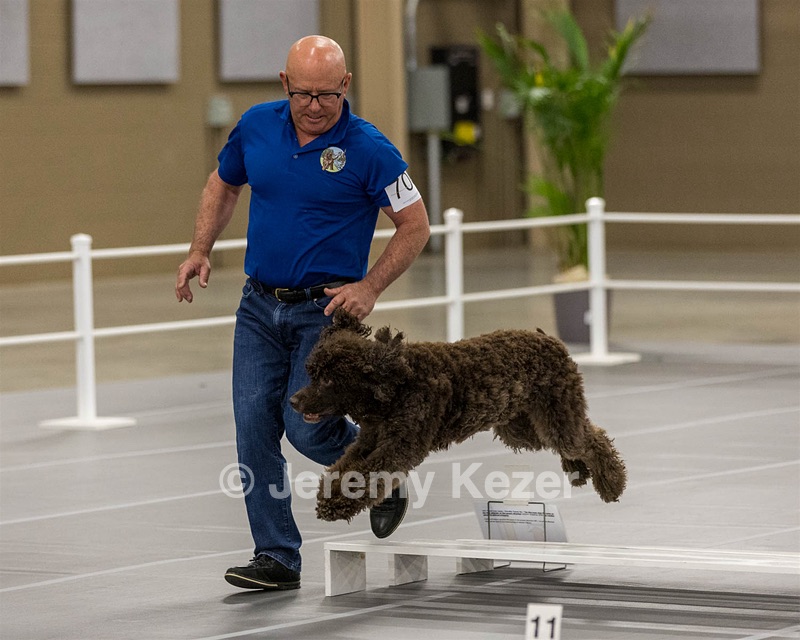700 - GCH Blackthorn’s Lass That Loves A Sailor in Wicklow CD RM CGC