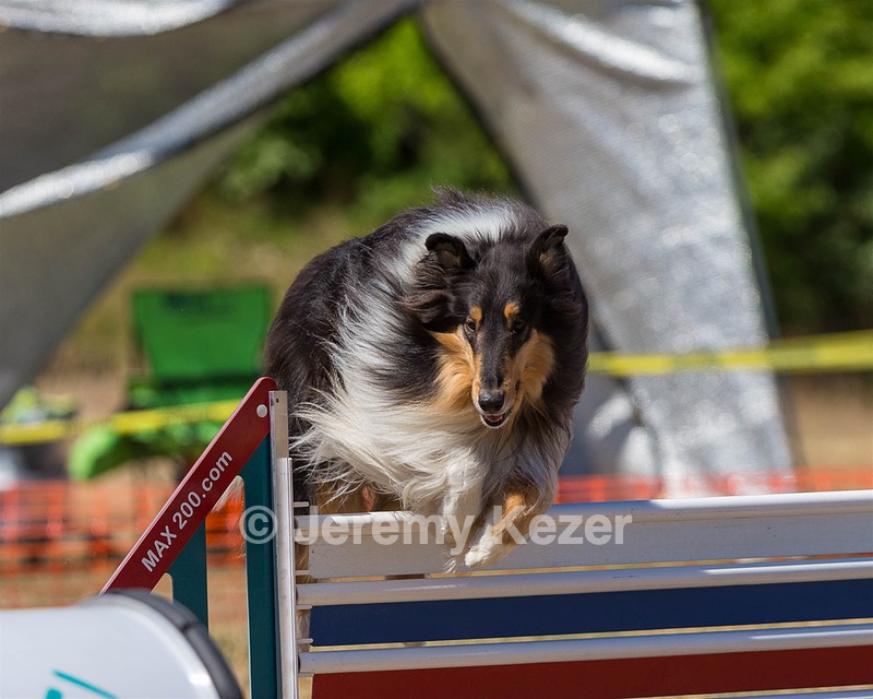 20160619-CCKC-1570.jpg