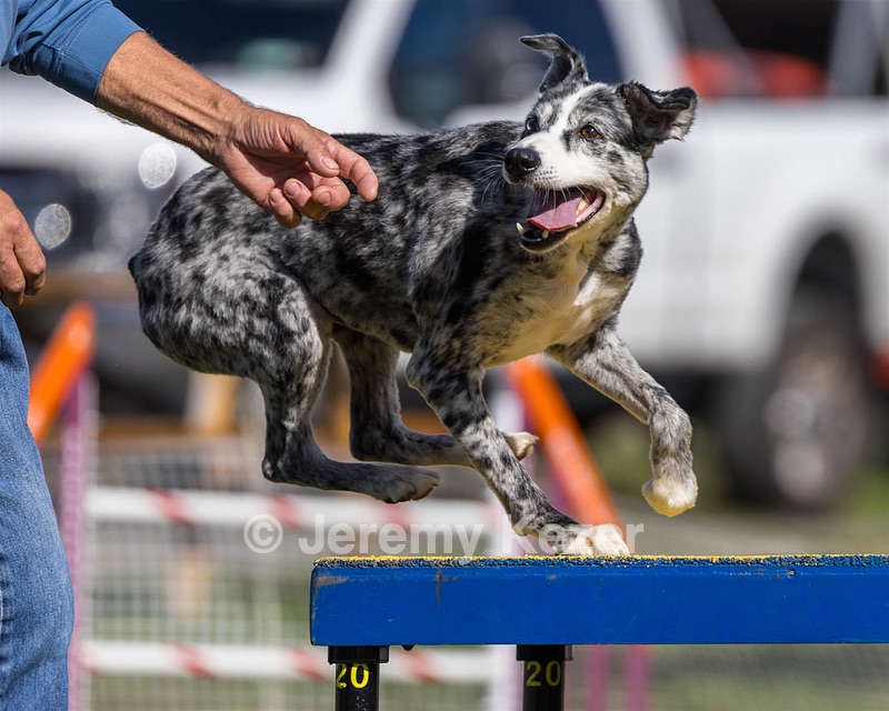 20230917-PVKC-2477.jpg