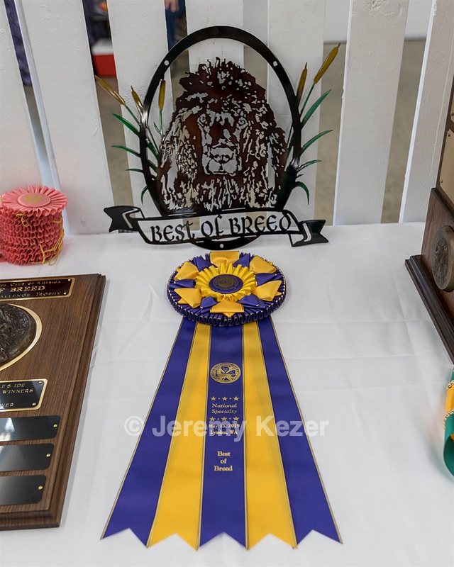 20190515-C-0007.jpg