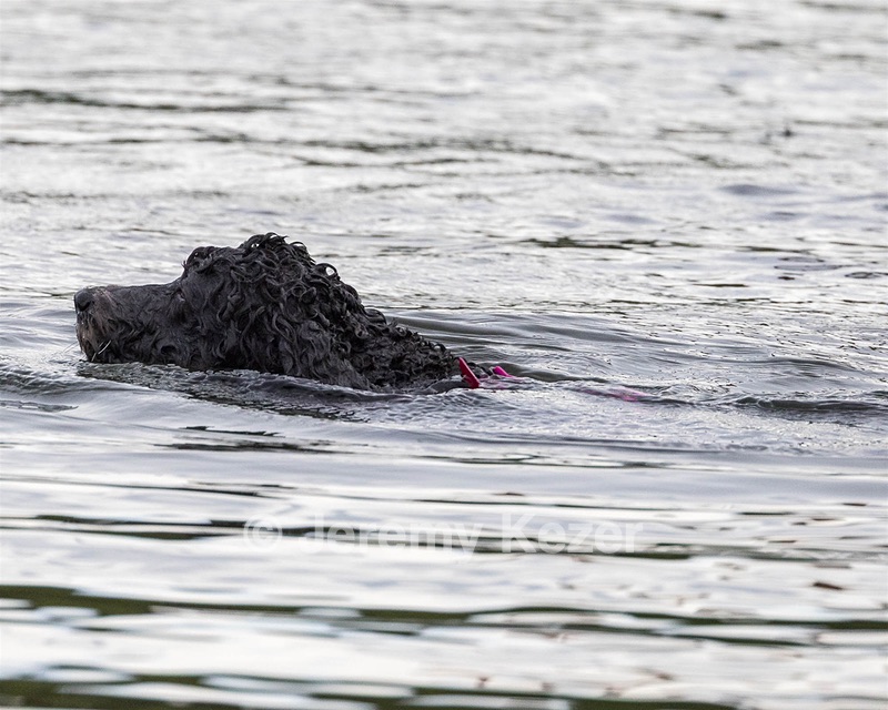 Tango Abbruzzese