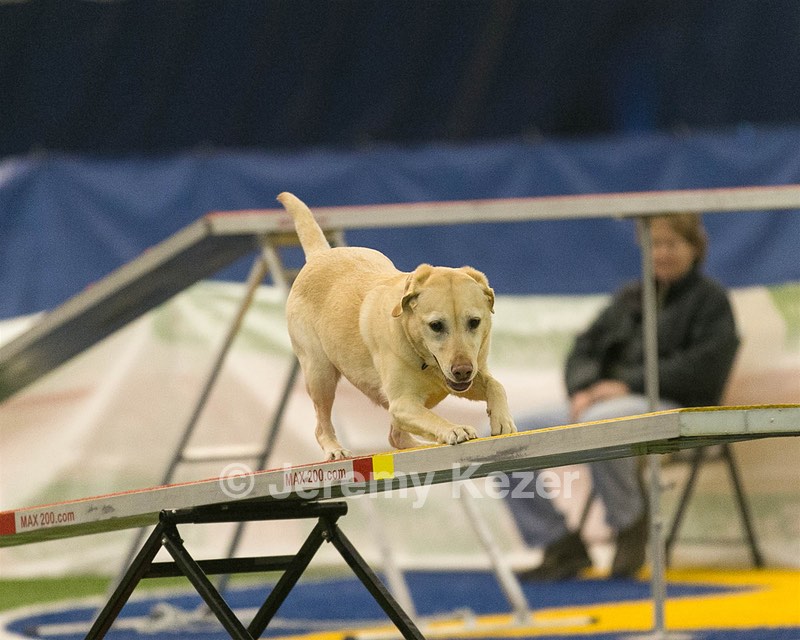 20150321-LEAP-0922.jpg