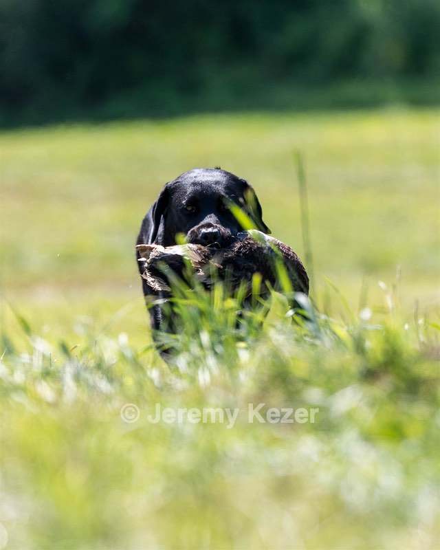 Starr Kelly
