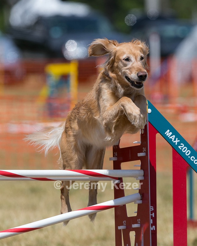 20150614-CCKC-1741.jpg