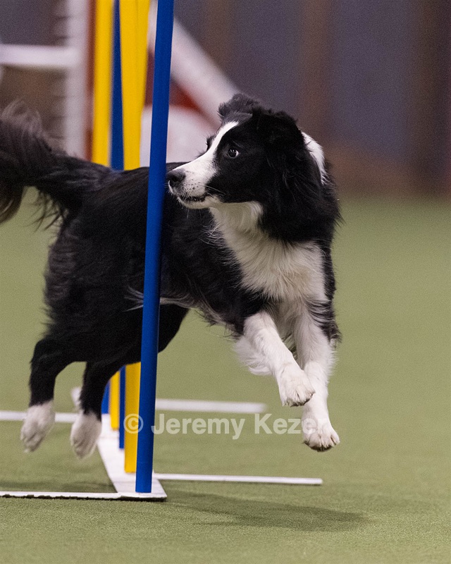 Fendi Tremblay