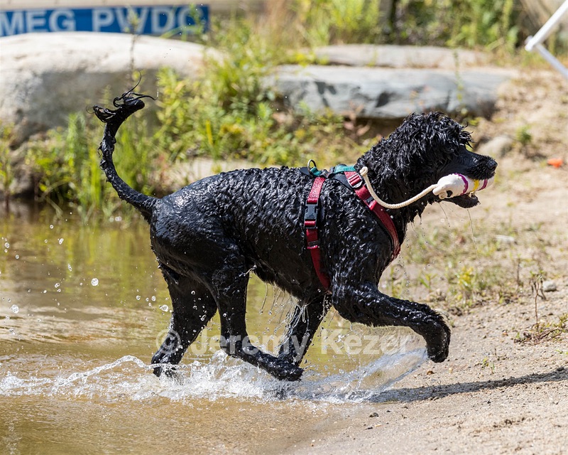 Rio Peter