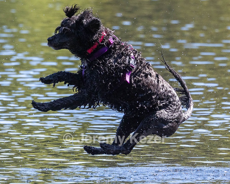 Winnie Lattrell