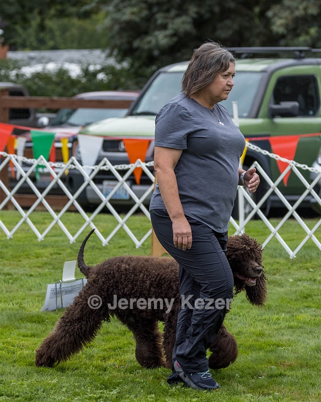 2801 - FINNIBONE'S CUZ MAMA CAN RE DS DJA CGC TKN VHMA (Mamma Cass)