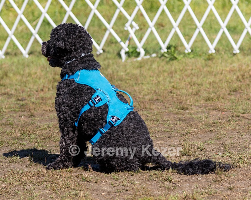 Fenwick Janet