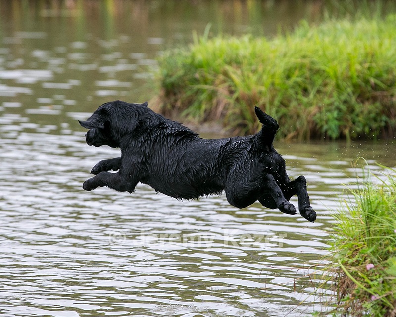 20150913-SEAW-0674.jpg