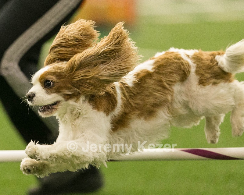 20150321-LEAP-1605.jpg
