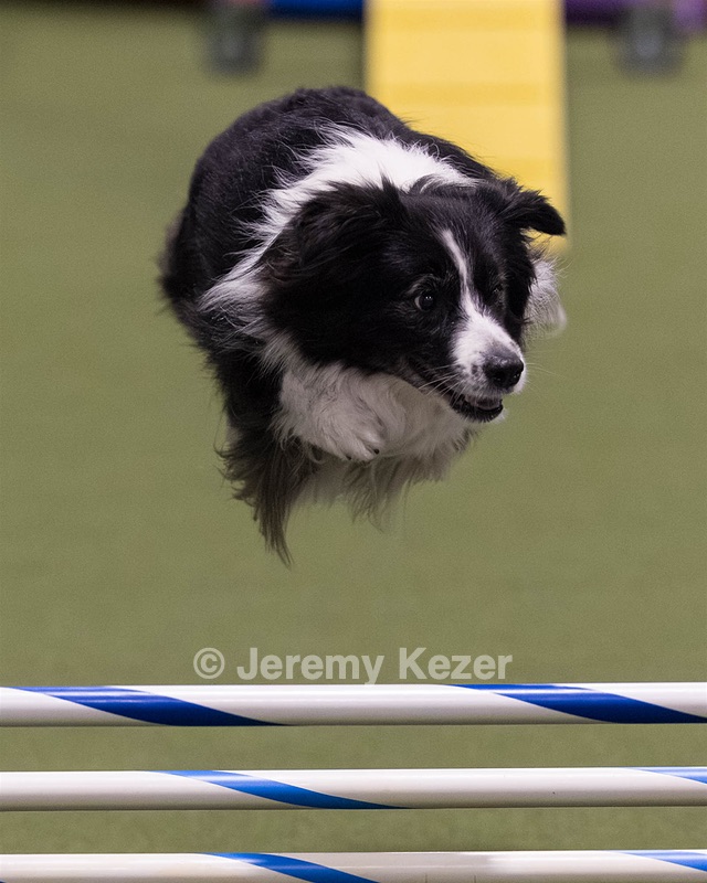 Breeze Schunk
