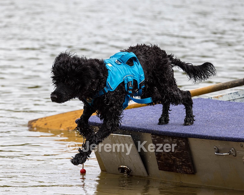 Boaty Belicose