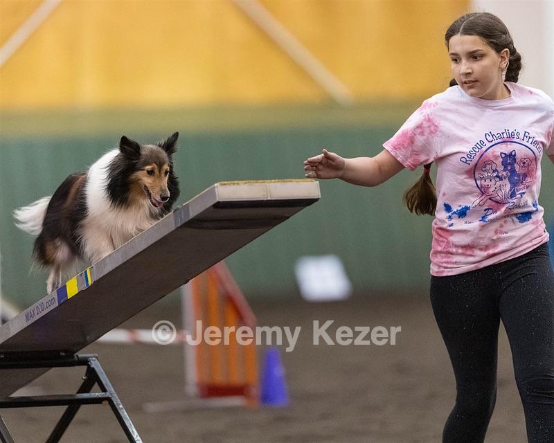 Aurora Capella