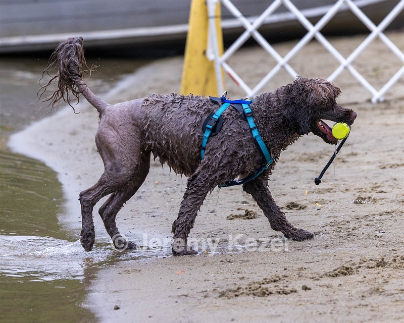 Keeli Gushue