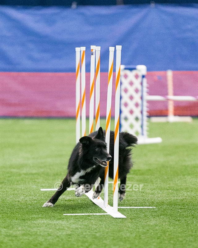 20150322-LEAP-1035.jpg