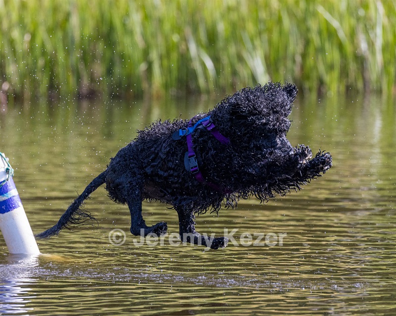 Perry