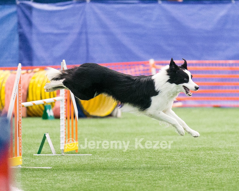 20150322-LEAP-0912.jpg