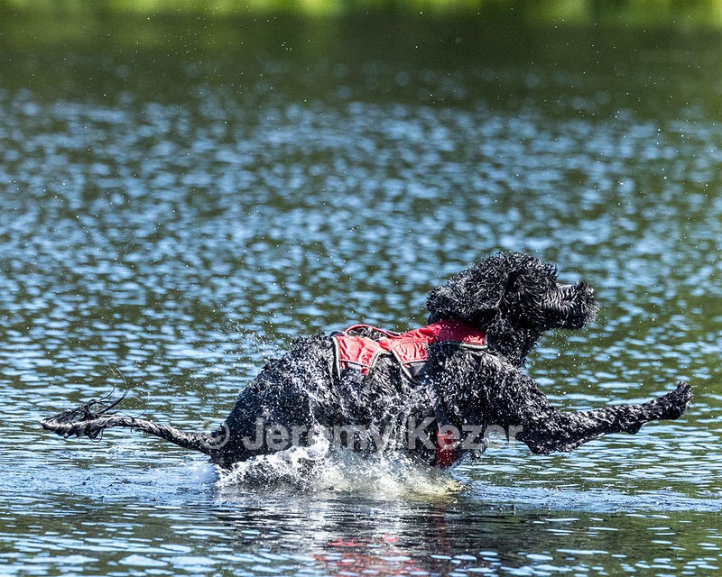 Swizzle Kennedy