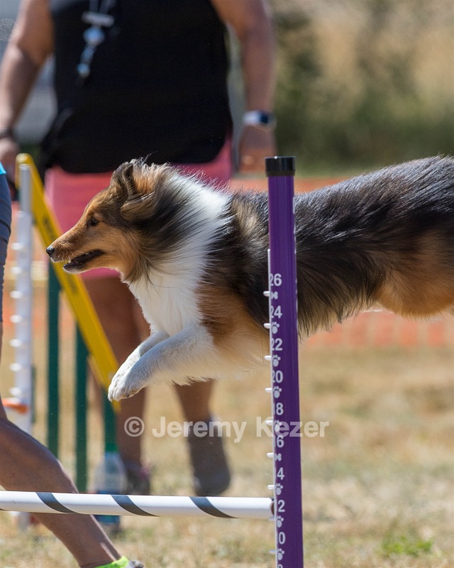 20160618-CCKC-1839.jpg