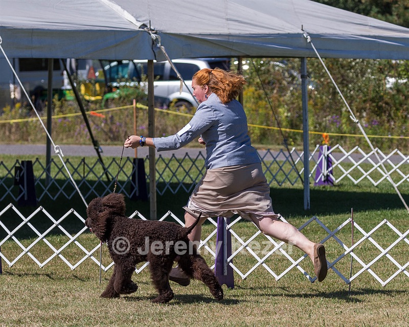 05 - GCH WATERFORD'S TROUBLE BREWING