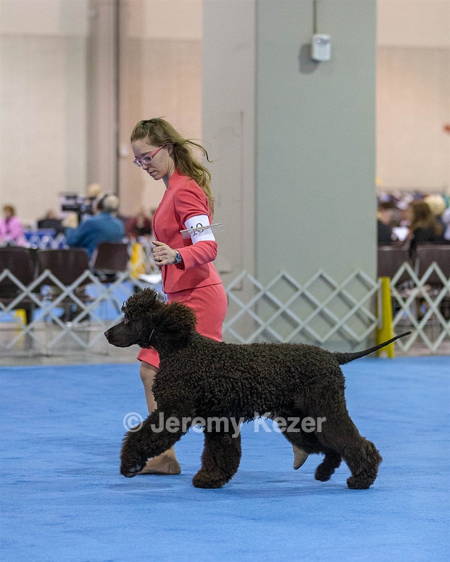 10 - Poole's Ide Touch Of Mink (Darla)