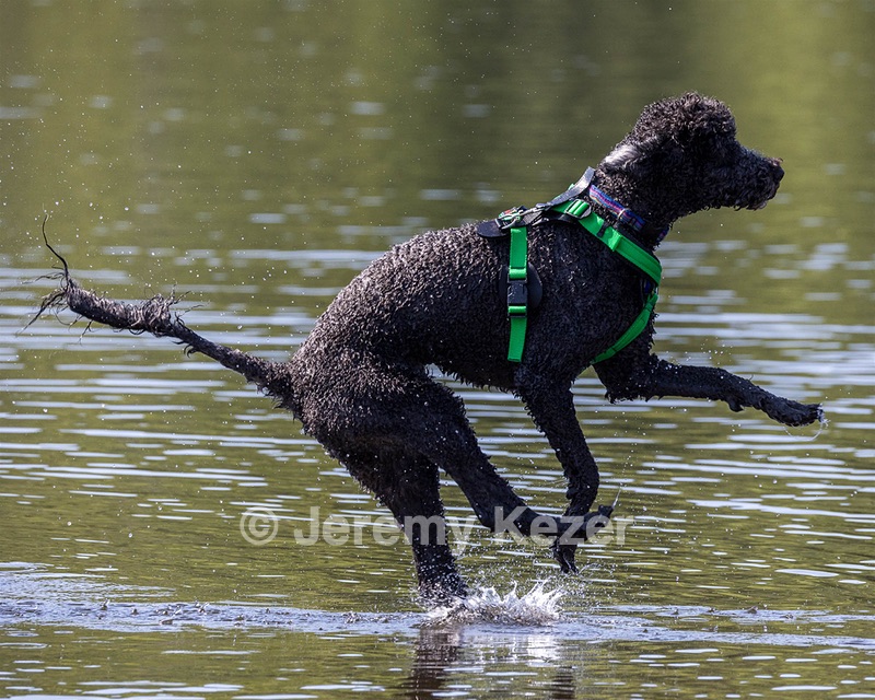 Dinah McNelly