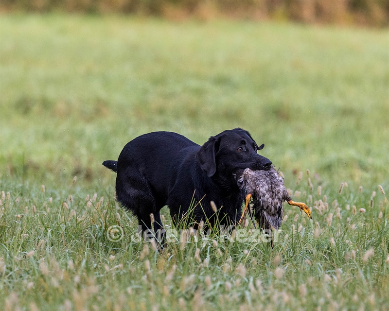 20220925-SHL-0014.jpg
