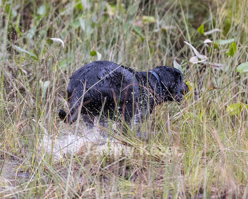 Ben