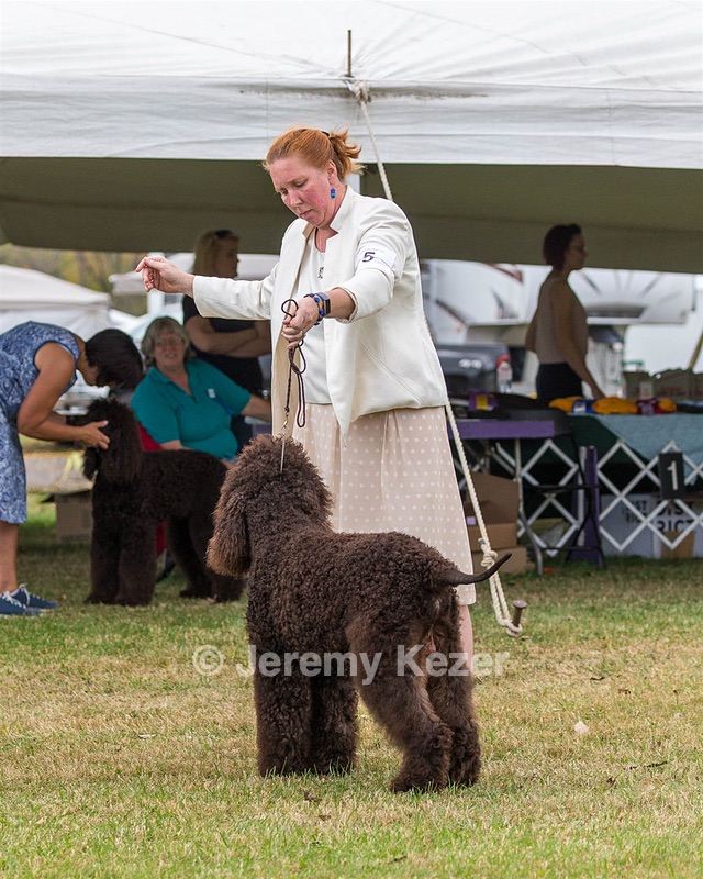 05 - GCH WATERFORD'S TROUBLE BREWING