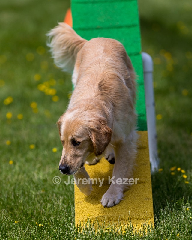 Ollie Erbe