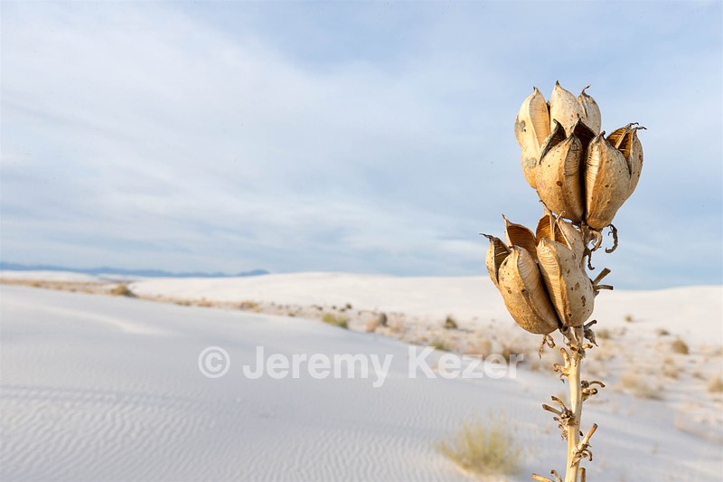 20151209-0134.jpg