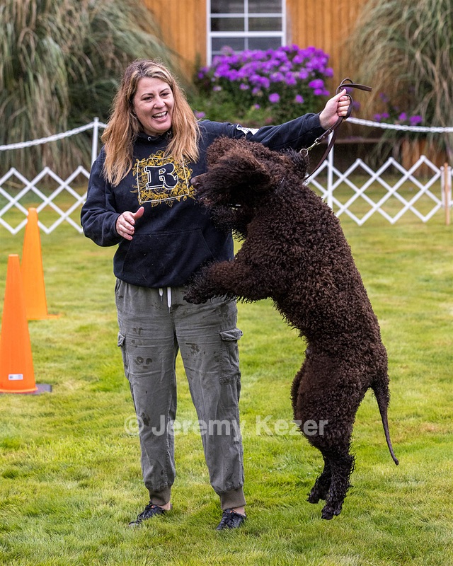 1741 - GCH CH BREKKON'S FIRST MARK CGC