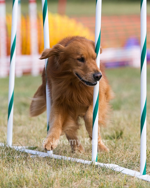 20150614-CCKC-0083.jpg