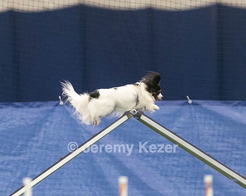 20150321-LEAP-1741.jpg
