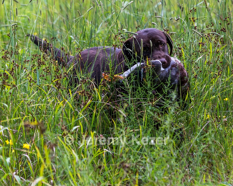 20160717-WCL-0008.jpg