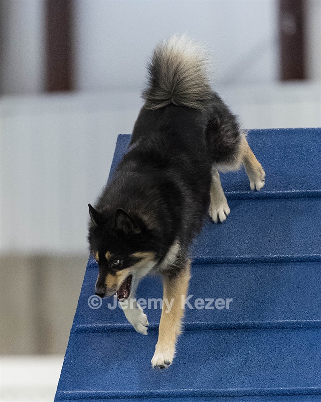 Bear Dubyoski