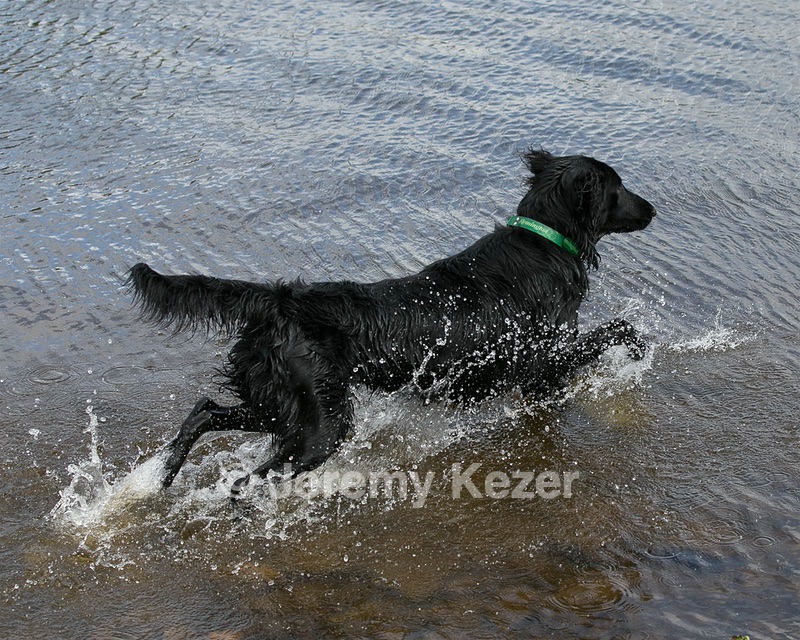 Parker