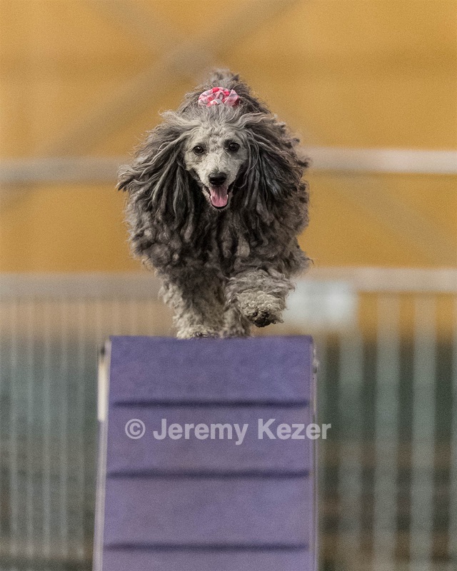 Peetie Sulewski