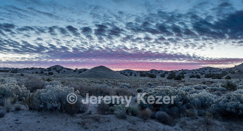 New Mexico