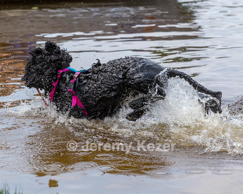 "Mistral" & Tobi-Ann