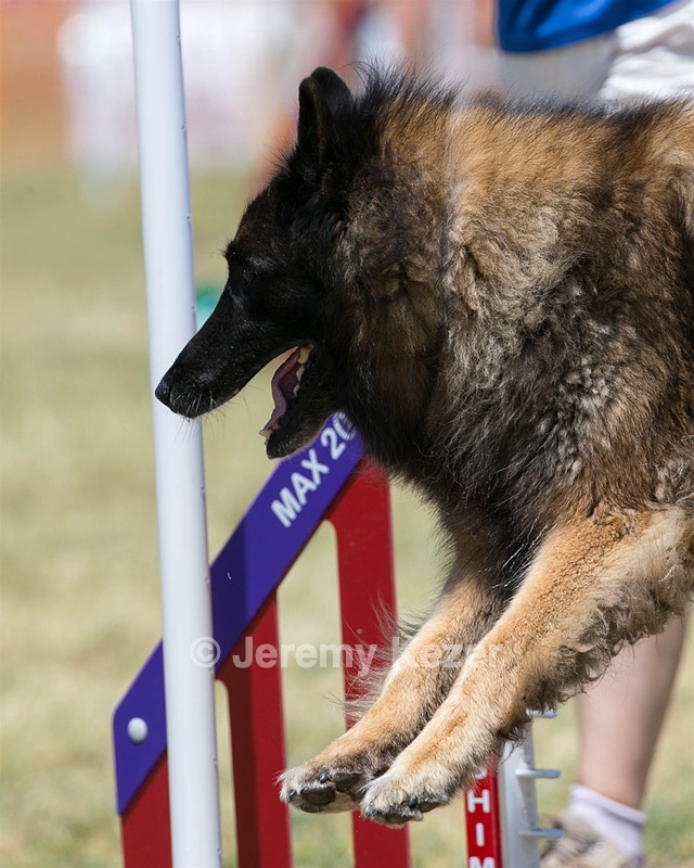 20150613-CCKC-0476.jpg