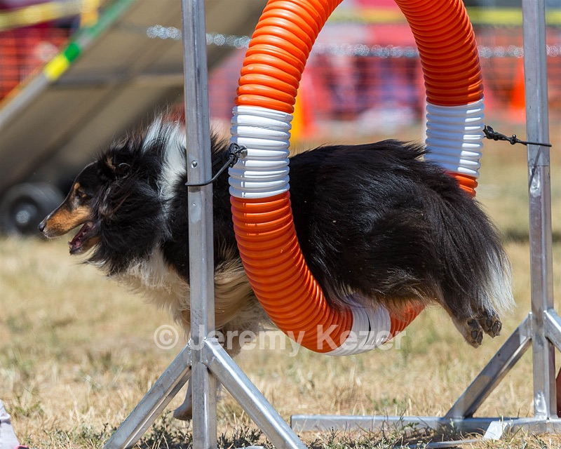 20160619-CCKC-1217.jpg